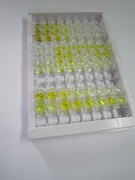 ELISA Kit for Tumor Necrosis Factor Ligand Superfamily, Member 13 (TNFSF13)