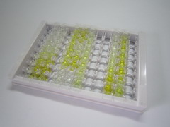 ELISA Kit for Major Histocompatibility Complex Class I E (MHCE)