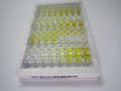 ELISA Kit for Lectin Galactoside Binding, Soluble 3 Binding Protein (LGALS3BP)