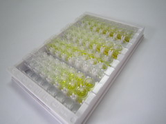 ELISA Kit for Lectin Galactoside Binding, Soluble 3 Binding Protein (LGALS3BP)