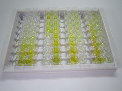 ELISA Kit for Junctional Adhesion Molecule 1 (JAM1)