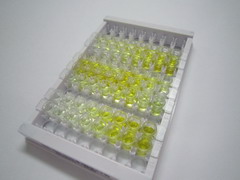 ELISA Kit for Junctional Adhesion Molecule 2 (JAM2)