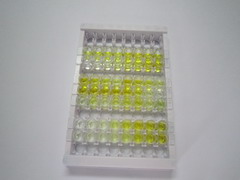 ELISA Kit for Neprilysin (CD10)