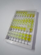 ELISA Kit for Fibroblast Growth Factor Receptor 1 (FGFR1)