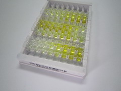 ELISA Kit for Fibroblast Growth Factor Receptor 1 (FGFR1)