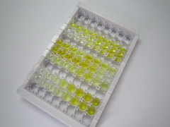 ELISA Kit for S100 Calcium Binding Protein A8 (S100A8)