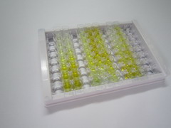 ELISA Kit for S100 Calcium Binding Protein A9 (S100A9)