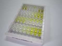 ELISA Kit for Jagged 1 (JAG1)