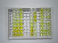 ELISA Kit for Selenoprotein P1, Plasma (SEPP1)