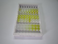 ELISA Kit for Versican (VCAN)