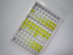 ELISA Kit for Versican (VCAN)