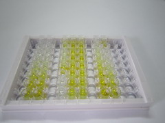 ELISA Kit for Netrin 1 (Ntn1)