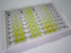 ELISA Kit for Interleukin 2 Receptor Alpha (IL2Ra)