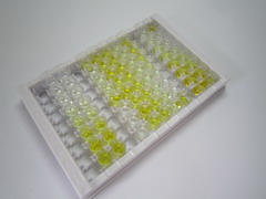 ELISA Kit for Paxillin (PXN)