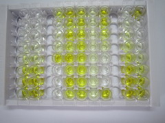 ELISA Kit for Fetuin B (FETUB)