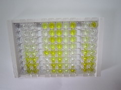 ELISA Kit for Neuregulin 1 (NRG1)