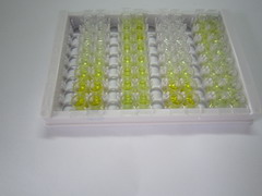 ELISA Kit for Cluster Of Differentiation 19 (CD19)