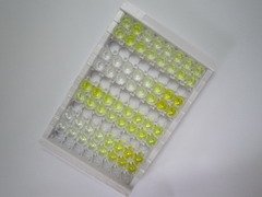 ELISA Kit for Coagulation Factor VIII (F8)