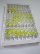 ELISA Kit for Apolipoprotein C3 (APOC3)