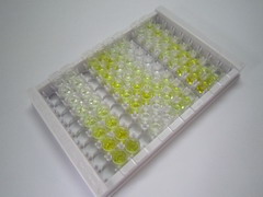 ELISA Kit for Insulin Degrading Enzyme (IDE)