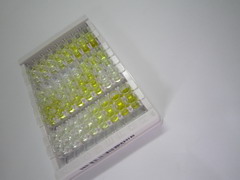 ELISA Kit for Cadherin, Heart (CDHH)