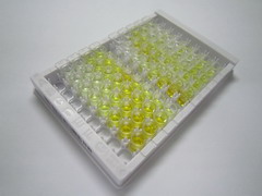 ELISA Kit for Cadherin, Heart (CDHH)