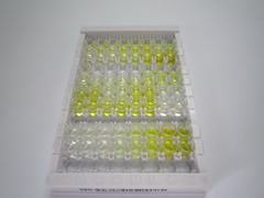 ELISA Kit for Ficolin 3 (FCN3)