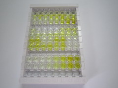 ELISA Kit for Glycoprotein VI (GP6)