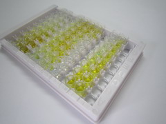 ELISA Kit for Formyl Peptide Receptor 2 (FPR2)