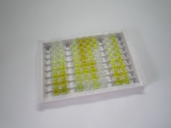 ELISA Kit for Chemokine C-C-Motif Receptor 4 (CCR4)