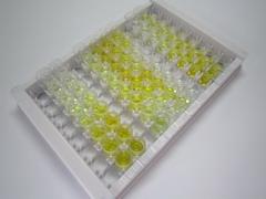 ELISA Kit for Choline Acetyltransferase (ChAT)