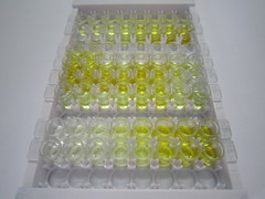 ELISA Kit for Glyceraldehyde-3-Phosphate Dehydrogenase (GAPDH)