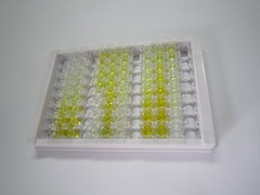 ELISA Kit for Syndecan 4 (SDC4)