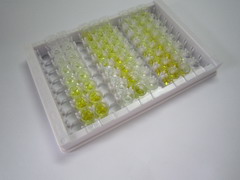 ELISA Kit for Transforming Growth Factor Beta 3 (TGFb3)