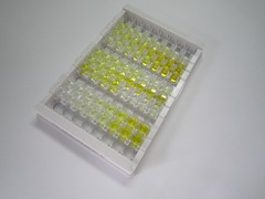 ELISA Kit for Transforming Growth Factor Beta 3 (TGFb3)