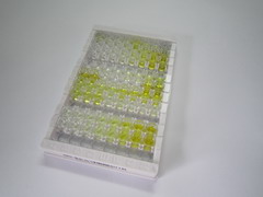 ELISA Kit for Cluster Of Differentiation 34 (CD34)