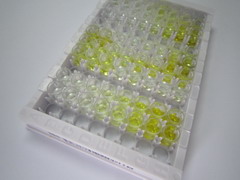 ELISA Kit for Superoxide Dismutase 1 (SOD1)