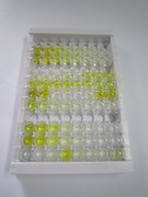 ELISA Kit for Superoxide Dismutase 1 (SOD1)