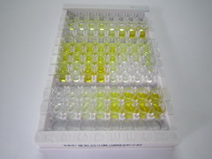 ELISA Kit for Apolipoprotein A4 (APOA4)