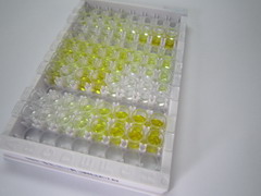 ELISA Kit for Apolipoprotein A4 (APOA4)