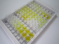 ELISA Kit for Apolipoprotein D (APOD)