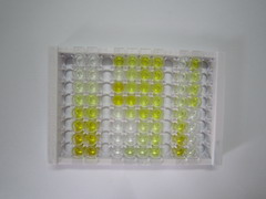 ELISA Kit for Pigment Epithelium Derived Factor (PEDF)