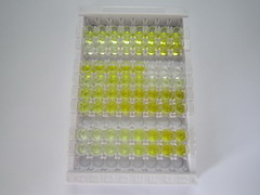 ELISA Kit for Tenascin C (TNC)