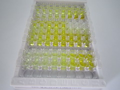 ELISA Kit for Tenascin C (TNC)