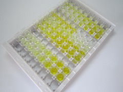 ELISA Kit for Interleukin 33 (IL33)