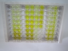 ELISA Kit for Tau Protein (MAPT)