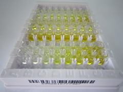 ELISA Kit for Hemojuvelin (HJV)