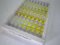 ELISA Kit for Apolipoprotein A5 (APOA5)