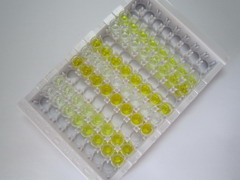 ELISA Kit for Cadherin 17 (CDH17)