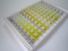 ELISA Kit for Apolipoprotein B (APOB)